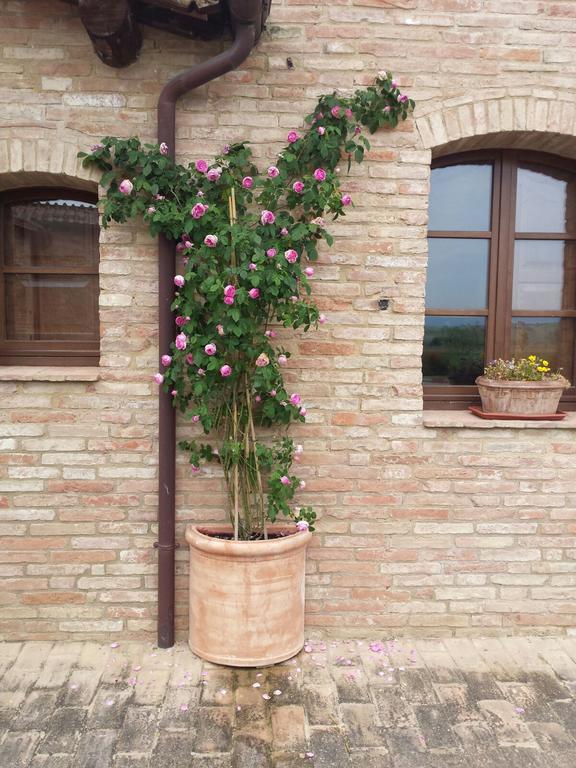 Agriturismo San Pierino Monteroni d'Arbia Luaran gambar